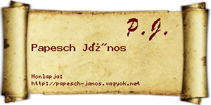 Papesch János névjegykártya